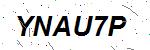 CAPTCHA verification image containing distorted text characters