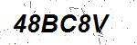 CAPTCHA verification image containing distorted text characters