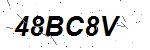 CAPTCHA verification image containing distorted text characters