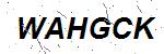 CAPTCHA verification image containing distorted text characters