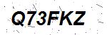 CAPTCHA verification image containing distorted text characters