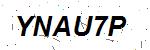 CAPTCHA verification image containing distorted text characters