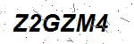 CAPTCHA verification image containing distorted text characters