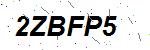CAPTCHA verification image containing distorted text characters