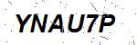 CAPTCHA verification image containing distorted text characters
