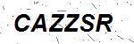 CAPTCHA verification image containing distorted text characters