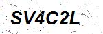 CAPTCHA verification image containing distorted text characters