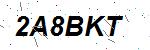 CAPTCHA verification image containing distorted text characters