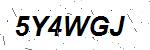 CAPTCHA verification image containing distorted text characters