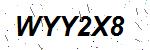 CAPTCHA verification image containing distorted text characters