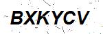 CAPTCHA verification image containing distorted text characters