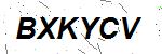 CAPTCHA verification image containing distorted text characters