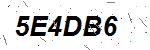 CAPTCHA verification image containing distorted text characters