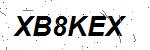CAPTCHA verification image containing distorted text characters