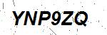 CAPTCHA verification image containing distorted text characters