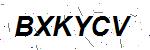 CAPTCHA verification image containing distorted text characters
