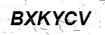CAPTCHA verification image containing distorted text characters