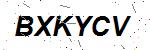CAPTCHA verification image containing distorted text characters