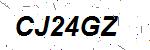 CAPTCHA verification image containing distorted text characters