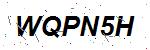 CAPTCHA verification image containing distorted text characters