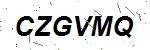 CAPTCHA verification image containing distorted text characters