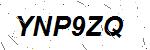 CAPTCHA verification image containing distorted text characters