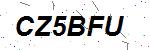 CAPTCHA verification image containing distorted text characters