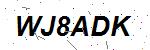 CAPTCHA verification image containing distorted text characters