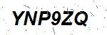 CAPTCHA verification image containing distorted text characters