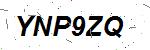 CAPTCHA verification image containing distorted text characters