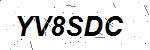 CAPTCHA verification image containing distorted text characters