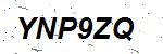 CAPTCHA verification image containing distorted text characters