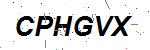 CAPTCHA verification image containing distorted text characters