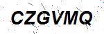 CAPTCHA verification image containing distorted text characters
