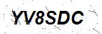 CAPTCHA verification image containing distorted text characters