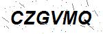 CAPTCHA verification image containing distorted text characters