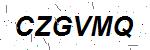 CAPTCHA verification image containing distorted text characters