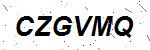 CAPTCHA verification image containing distorted text characters