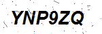 CAPTCHA verification image containing distorted text characters