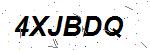 CAPTCHA verification image containing distorted text characters