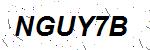 CAPTCHA verification image containing distorted text characters