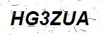 CAPTCHA verification image containing distorted text characters