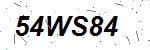 CAPTCHA verification image containing distorted text characters