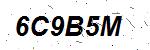 CAPTCHA verification image containing distorted text characters