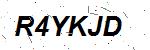 CAPTCHA verification image containing distorted text characters
