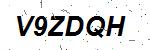 CAPTCHA verification image containing distorted text characters