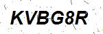 CAPTCHA verification image containing distorted text characters