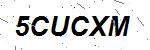 CAPTCHA verification image containing distorted text characters