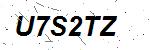 CAPTCHA verification image containing distorted text characters