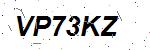 CAPTCHA verification image containing distorted text characters